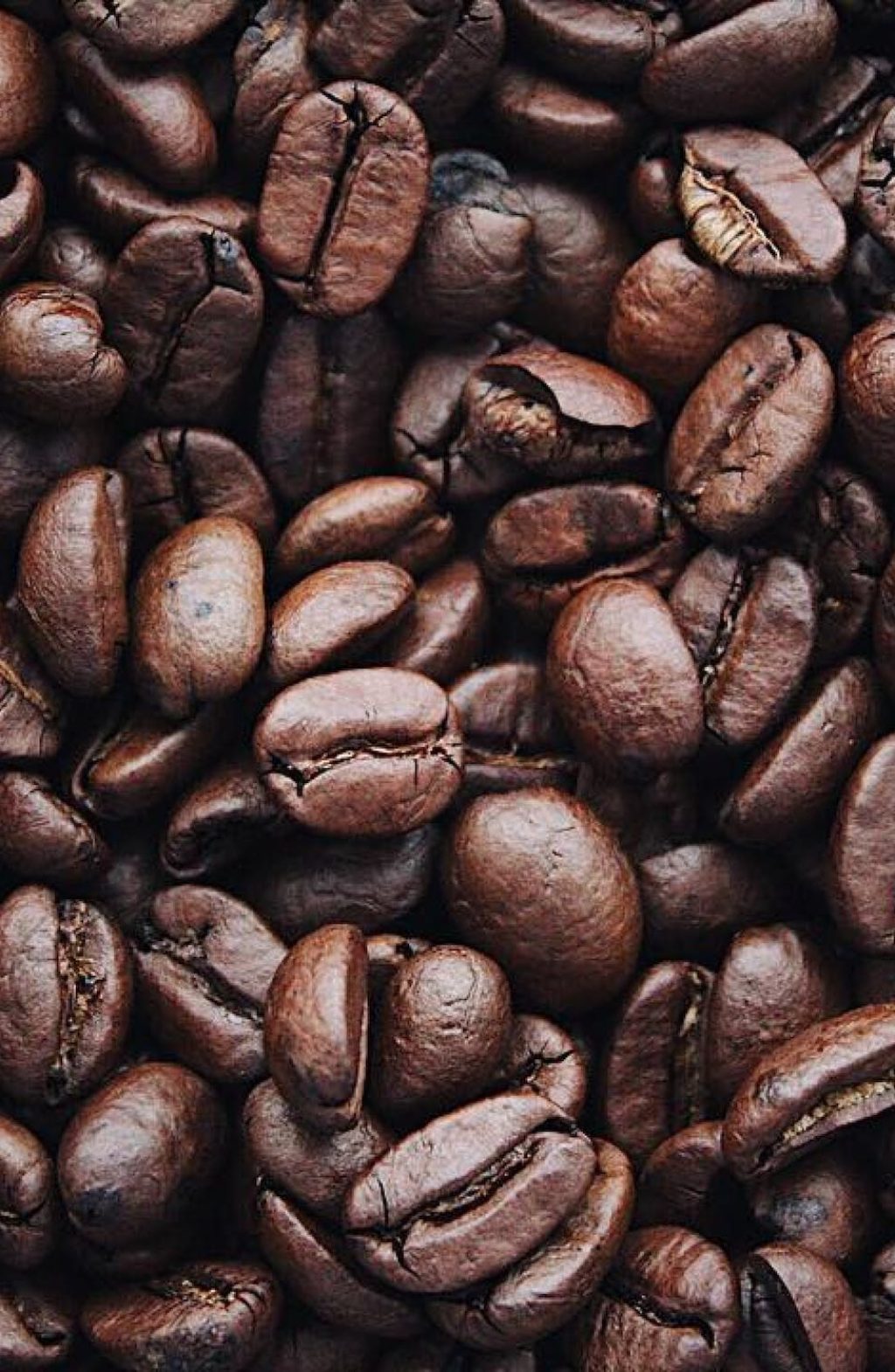 Café